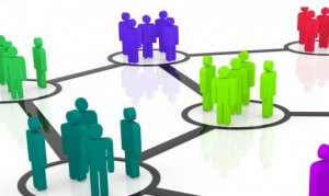 Organisaties