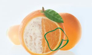 debrisoft